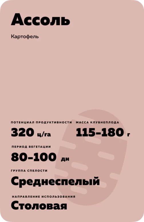 Ассоль