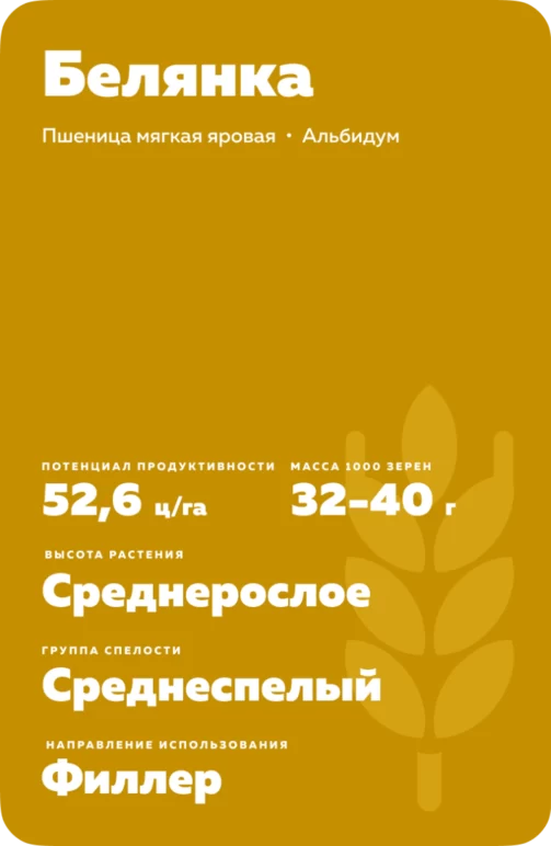 Белянка