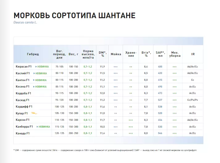 Семена Моркови Кордоба F1 Купить