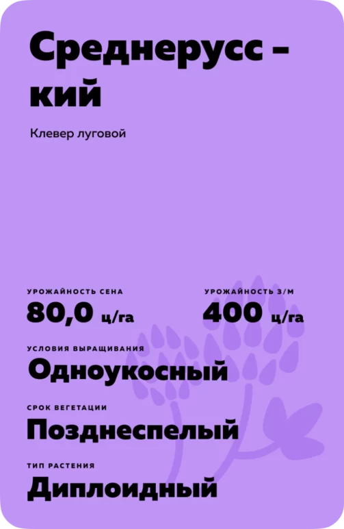 Среднерусский