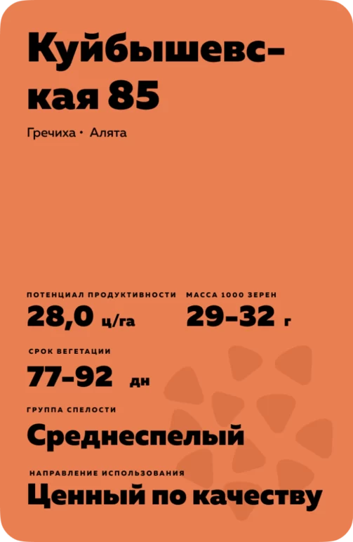 Куйбышевская 85