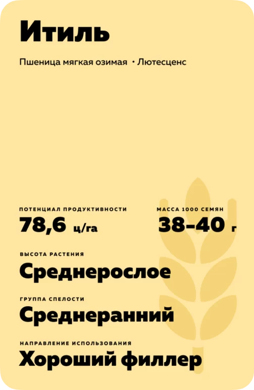 Итиль