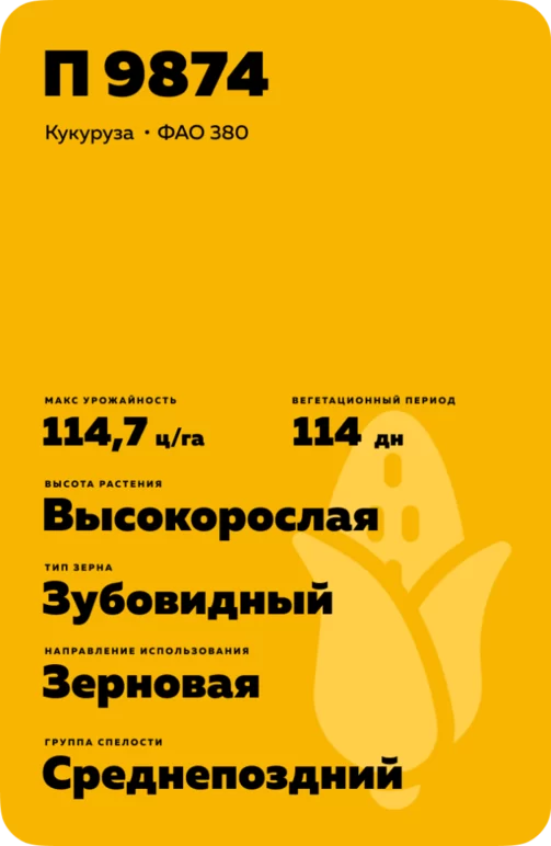 П 9874 - гибрид кукурузы Пионер