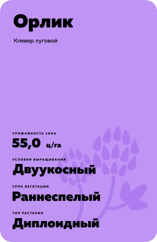Орлик