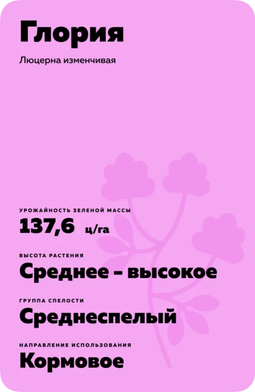 Глория