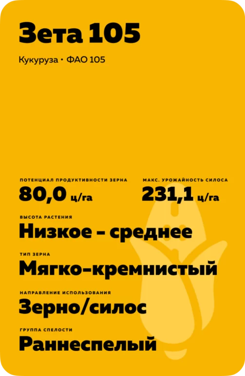 Зета 105