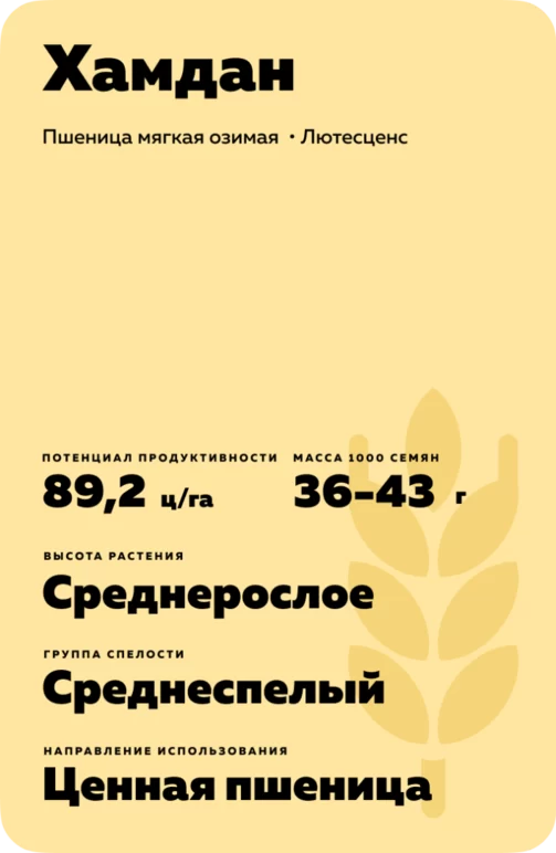 Хамдан