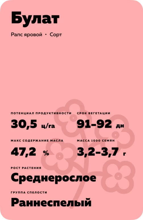Булат