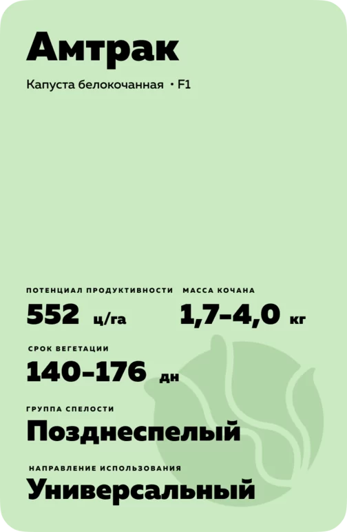 Амтрак (AMTRAK) гибрид капусты белокочанной
