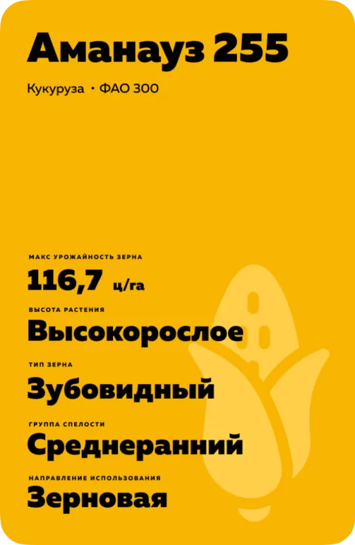 АМАНАУЗ 255 - гибрид кукурузы ( Zea mays L.).