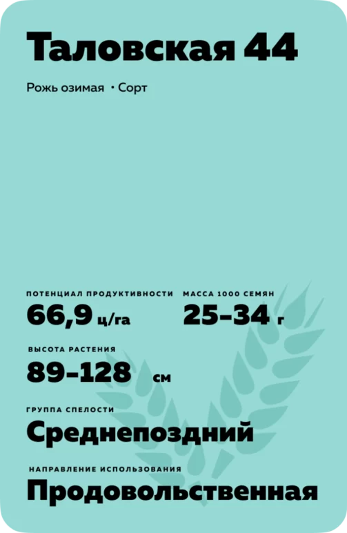 Таловская 44 рожь озимая