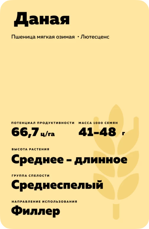 Даная - пшеница мягкая озимая. Характеристики и отзывы