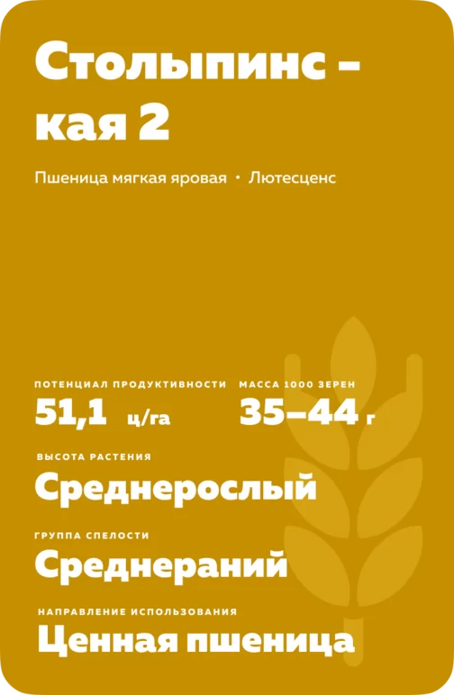 Столыпинская 2 ® сорт мягкой яровой пшеницы