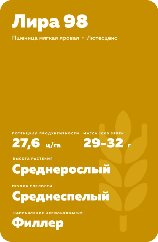 Лира 98