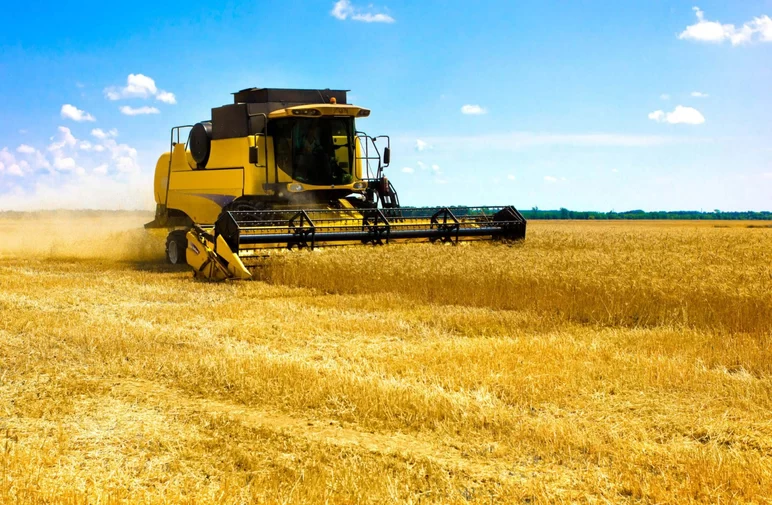 Реализовать экспортный потенциал в 63 млн тонн зерна будет затруднительно — ИКАР