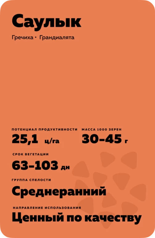 Саулык