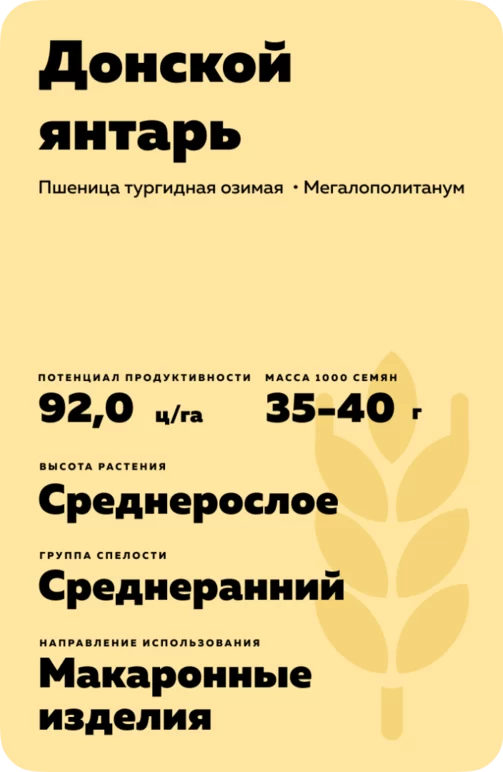 Донской янтарь
