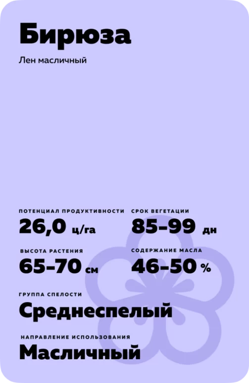 Бирюза сорт льна масличного