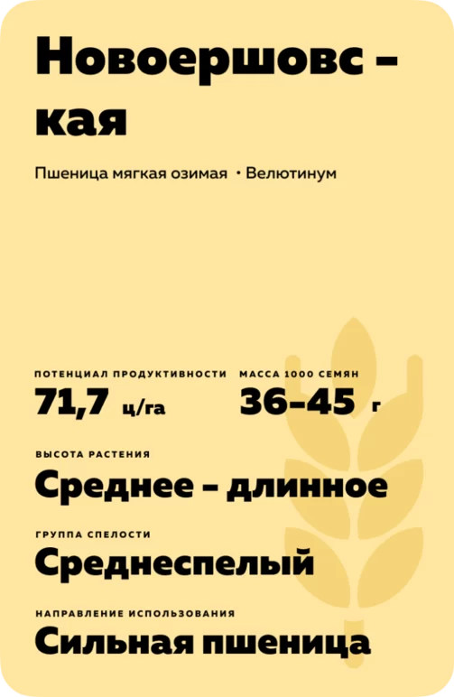 Новоершовская