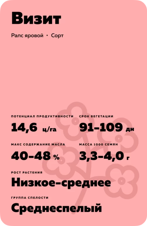 Визит