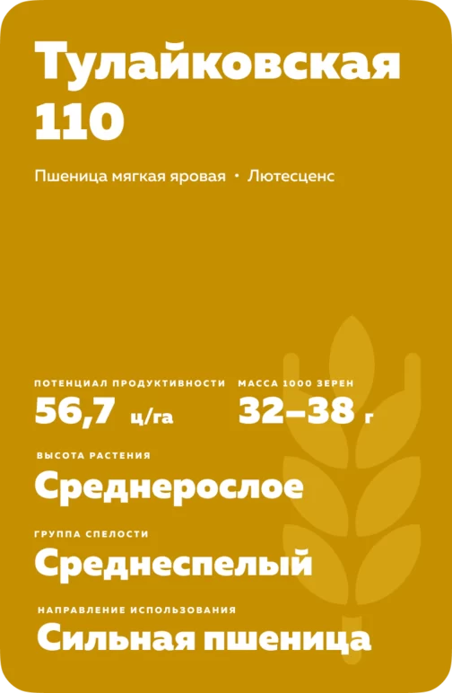 Тулайковская 110 сорт мягкой яровой пшеницы