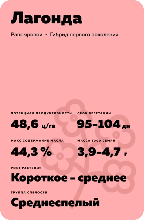 Лагонда ® (LAGONDA) гибрид рапса ярового