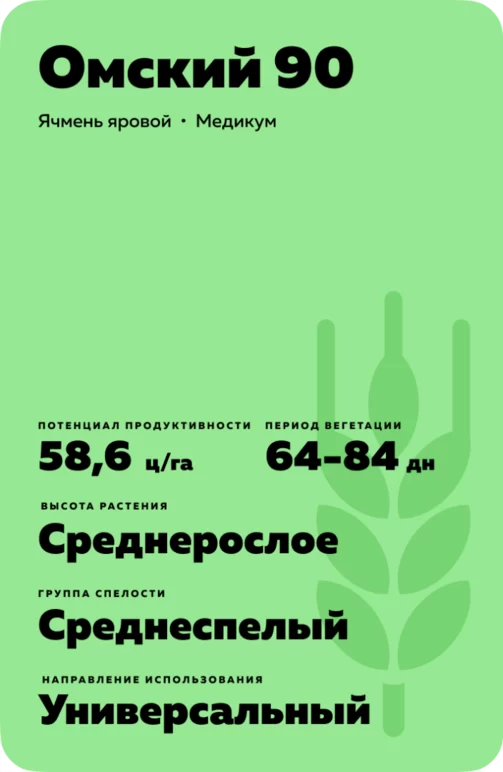Омский 90