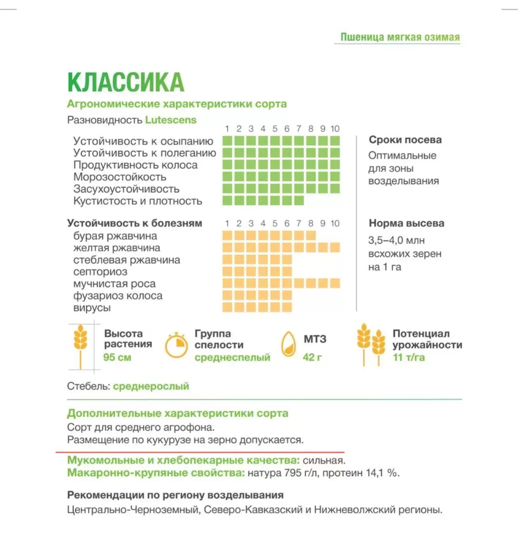 Классика - пшеница мягкая озимая. Характеристики и отзывы