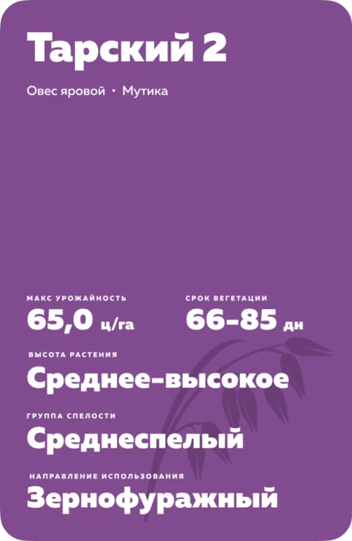 Тарский 2 сорт овса ярового