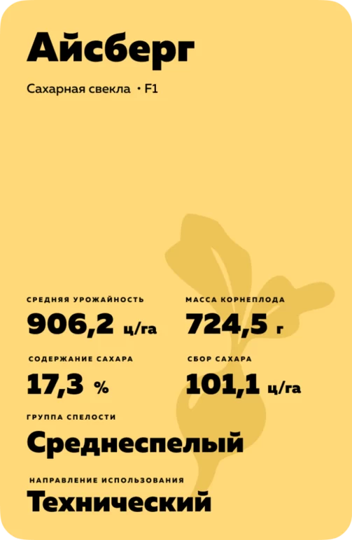 Айсберг гибрид сахарной свеклы