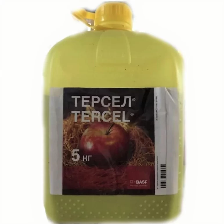 Терсел, ВДГ