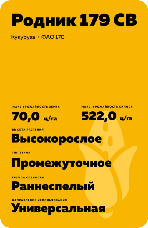 Родник 179 СВ - гибрид кукурузы ( Zea mays L.).
