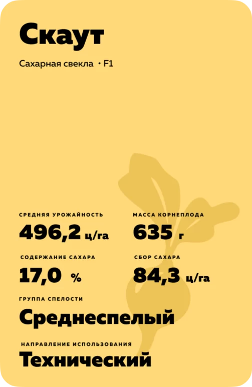 Скаут