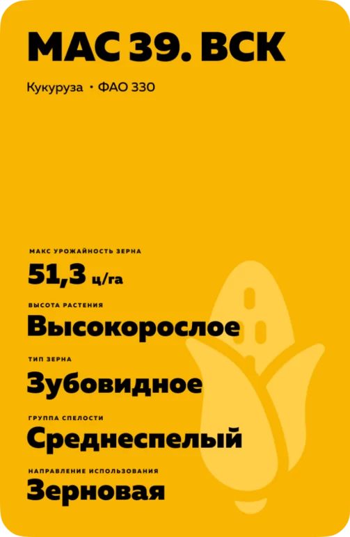 МАС 39. ВСК гибрид кукурузы