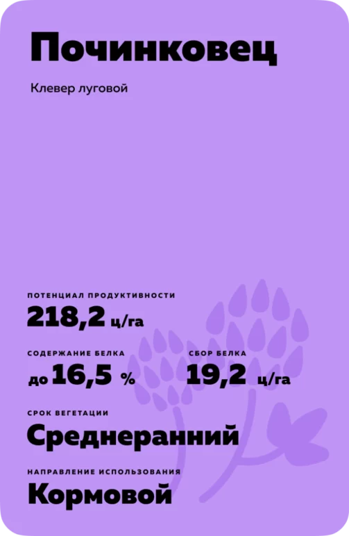 Починковец