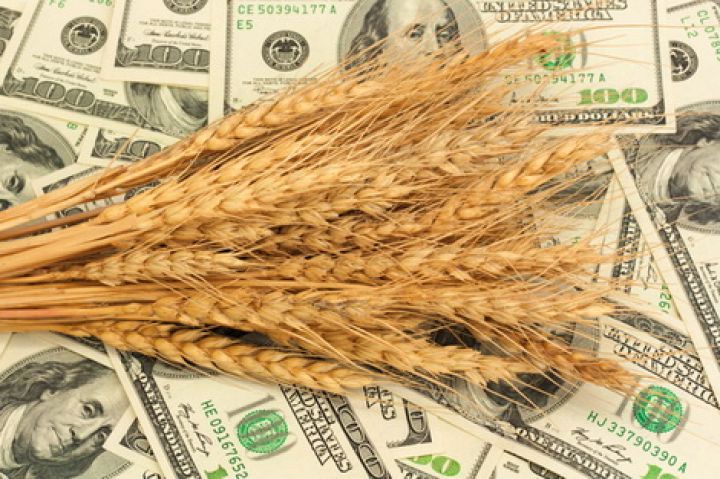 Правительственная комиссия одобрила перевод пошлин при экспорте зерна в рубли