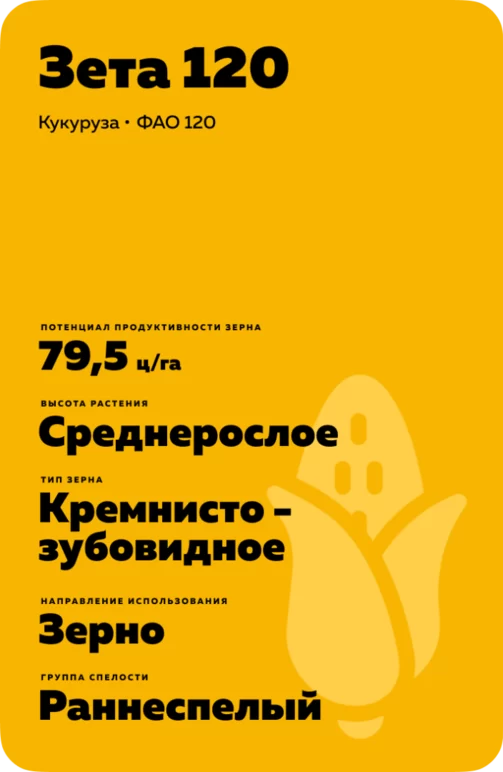 Зета 120 гибрид кукурузы