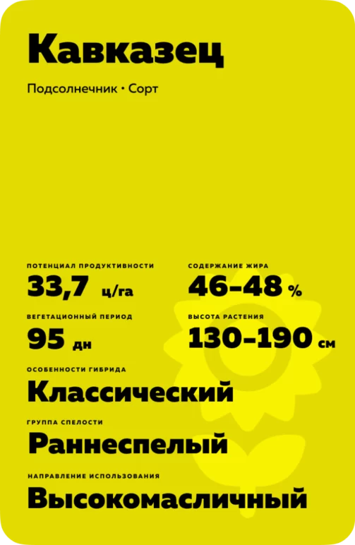 Кавказец