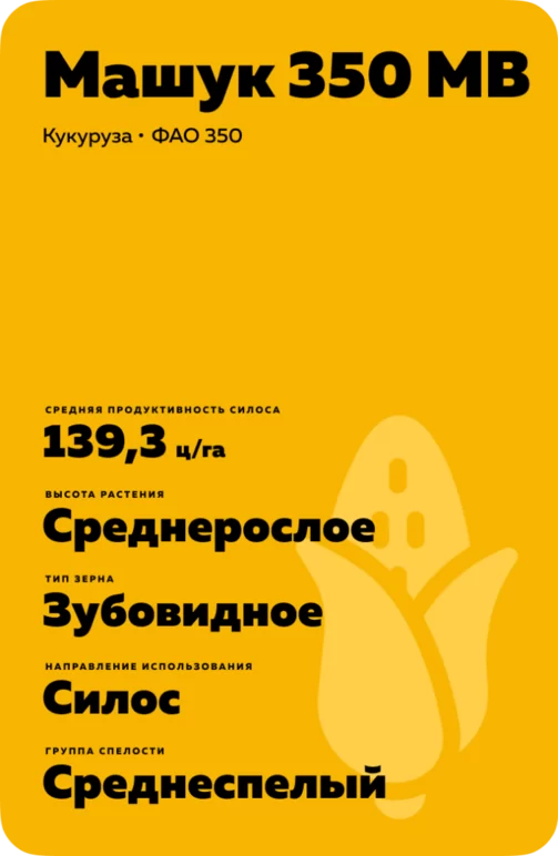 Машук 350 МВ гибрид кукурузы