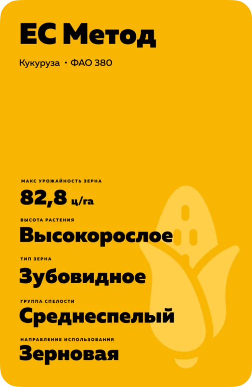 ЕС Метод (ES METHOD)
