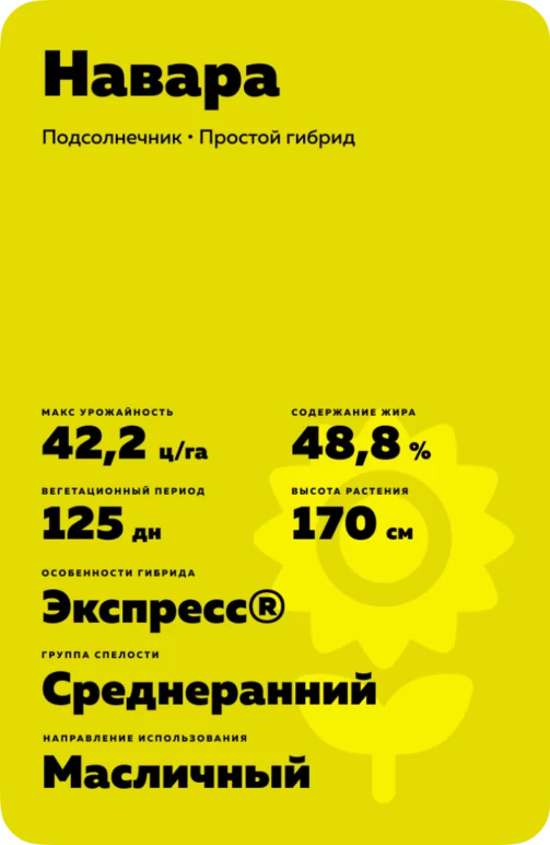Навара