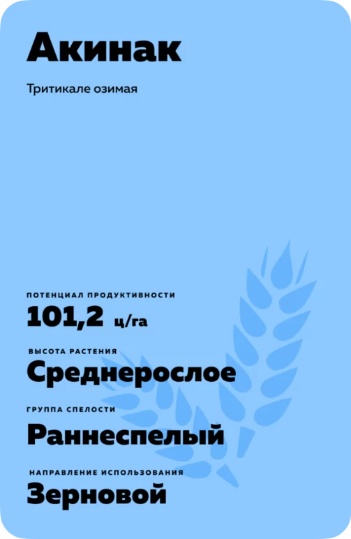 Акинак тритикале озимая