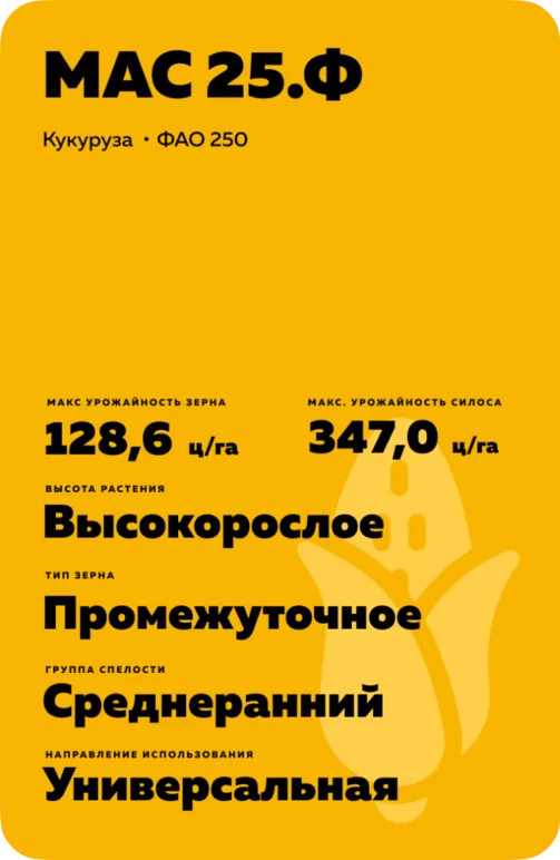 МАС 25 Ф - гибрид кукурузы ( Zea mays L.).