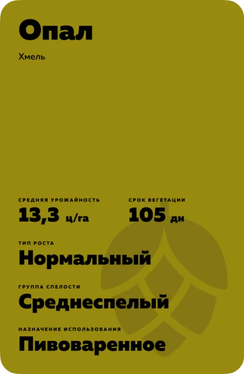 Опал - хмель Грейнрус. Характеристики и отзывы