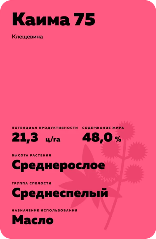 Каима 75