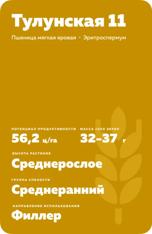 Тулунская 11