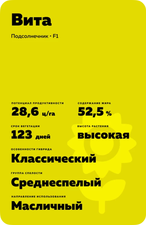 Вита