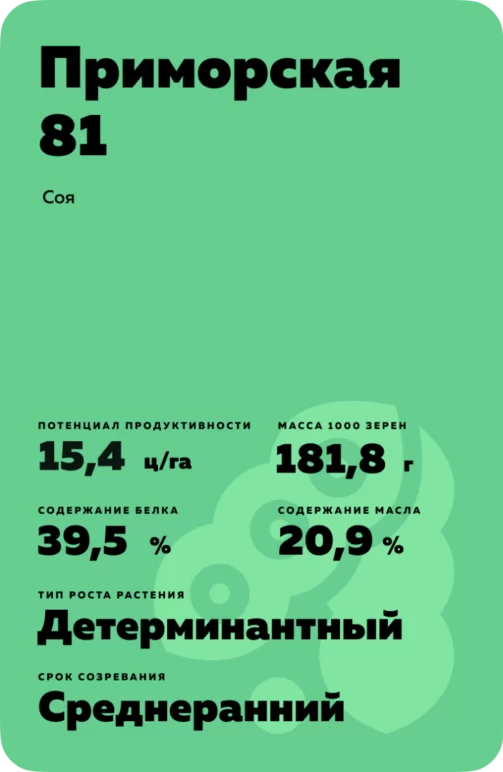 Приморская 81