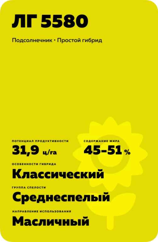 ЛГ 5580 подсолнечник