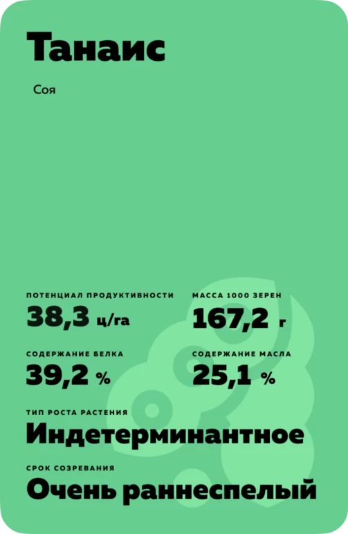 Танаис